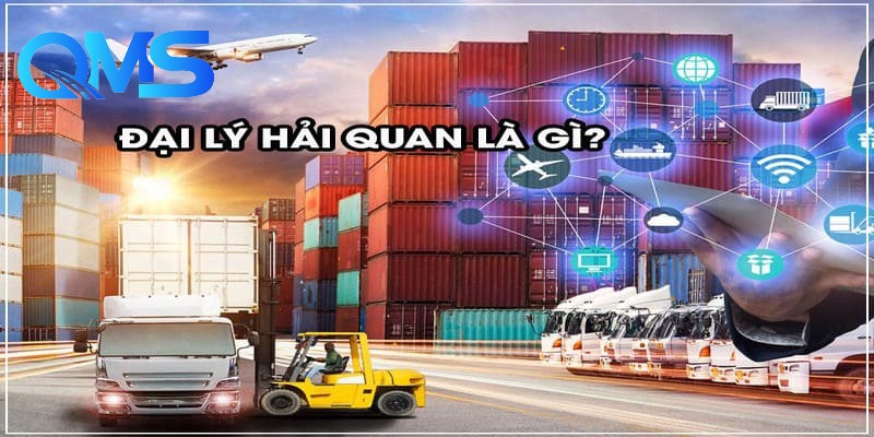 Dịch vụ đại lý hải quan tại QMS Logistics là gì?